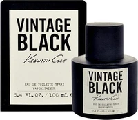 Kenneth Cole Vintage Juodas EDT 100ml kaina