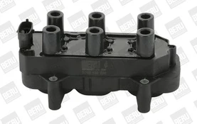 Ritė, uždegimas BorgWarner (BERU) ZS306