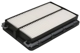 Oro filtras HENGST E1856L kaina