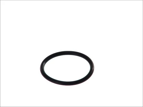 Termostato tarpinė EL239690
