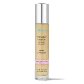 The Organic Pharmacy Antioxidant face gel 35ml kaina