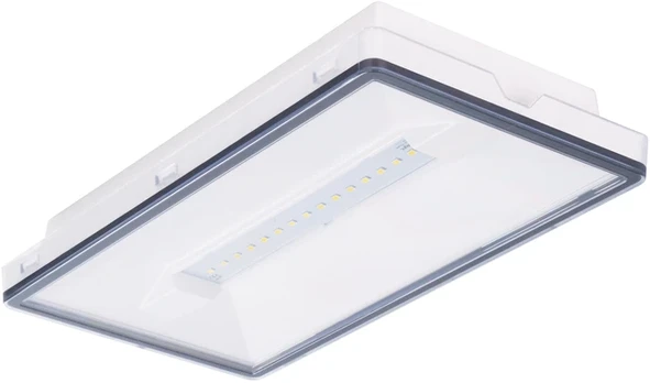 2,5W evakuacinis šviestuvas VELLA SO 125 CB IP65, baltas