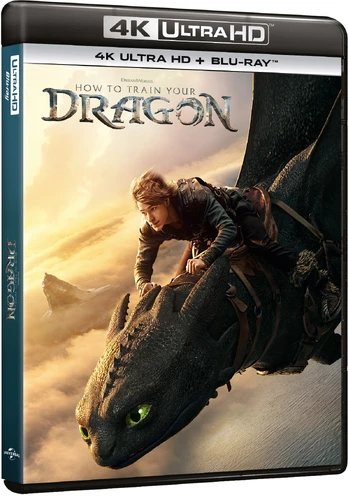 How to Train Your Dragon