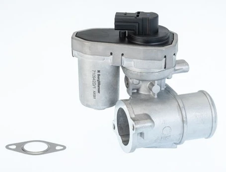 ERG vožtuvas BorgWarner (Wahler) 710942D/1