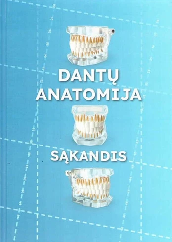 Dantų anatomija. Sąkandis