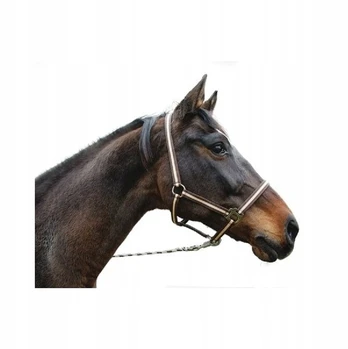 Kerbl Hippo kantar pony dydžio 1