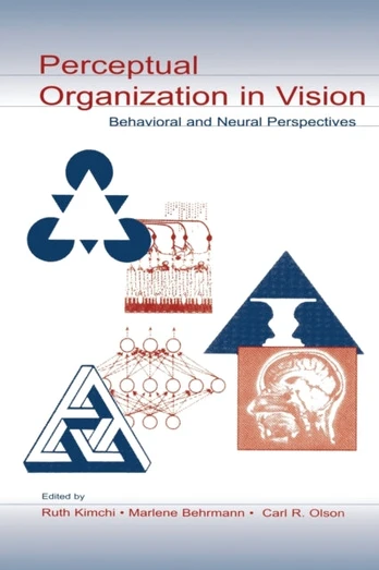 Perceptual Organization in Vision