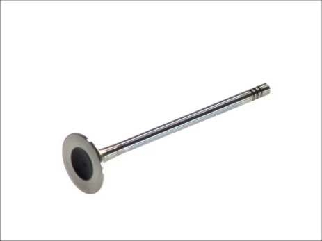 FRECCIA 4879/RCR Exhaust valve