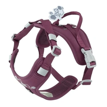 Šunų petnešos Hurtta Weekend Warrior II, violetinės, 65-80 cm