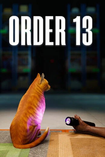 ORDER 13 PC