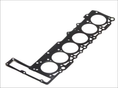ELRING EL161834 Cylinder head gasket kaina
