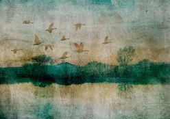 Fototapetas Artgeist Golden Ducks, 400 cm x 280 cm kaina