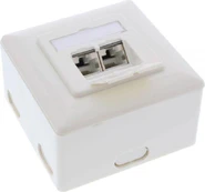 InLine Lizdas Cat.6A Ścienne, 2x RJ45, kabelis (76842S)