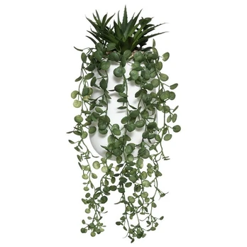 Art-Pol Dirbtinis augalas PEPEROMIA, kabantis