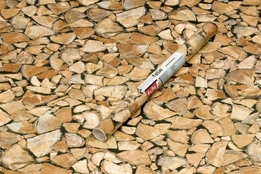 Lipni plėvelė D-C-FIX 346-0493, 0,45 m x 2 m
