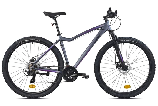 Dviratis kalnų Outliner, 29 ", pilkas/violetinis