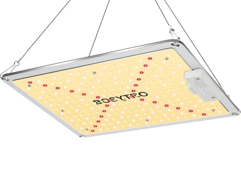 Bosytro B-3 LED