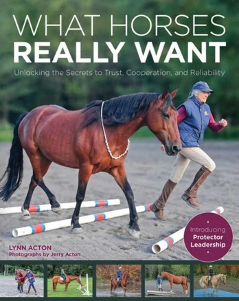 What Horses Really Want