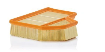 MANN-FILTER C 25 111 Oro filtras