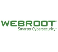 Webroot | DNS Protection with GSM Console | 2 year(s) | License quantity 1-9 user(s)