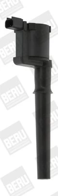 Ritė, uždegimas BorgWarner (BERU) ZS369