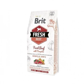 Brit Fresh Beef with Pumpkin Puppy Large