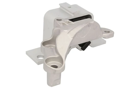 Variklio montavimas TEDGUM TED15487