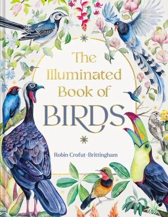Illuminated Book of Birds