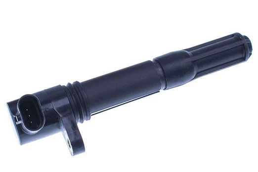Ritė, uždegimas DENCKERMANN E100013