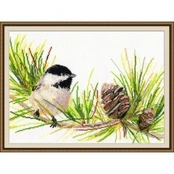 Little Bird S976