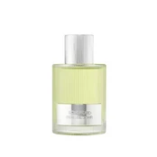 Tom Ford Beau De Jour Eau De Perfume Purškiklis 100ml kaina