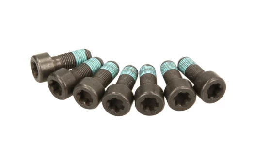 SACHS 1874 000 054 Flywheel bolt kit