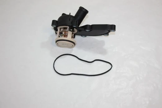 Termostatas, aušinimo skystis AUTOMEGA 160046610