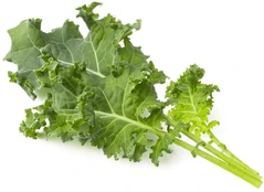 Click & Grow Smart Refill Green Kale 3pcs | SGR90X3 kaina