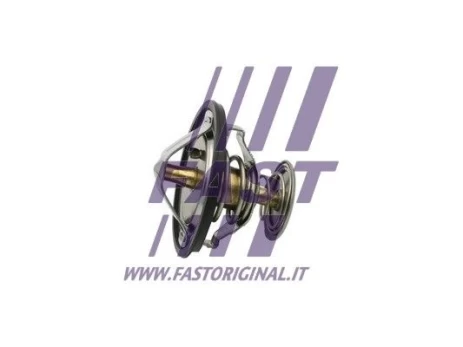 Termostatas, aušinimo skystis FAST FT58083