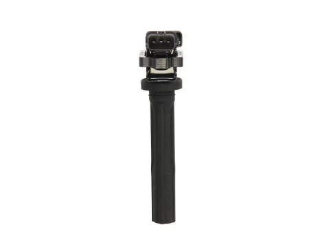 Ritė, uždegimas MAGNETI MARELLI 060717099012