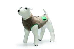 Striukė šunims Beeztees TEDDY, ruda, 24 cm kaina