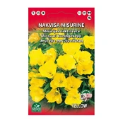 NAKVIŠA MISŪRINĖ DAUGIAMETĖ (GELTONA) kaina