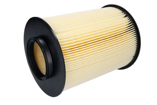 Oro filtras MANN-FILTER C16134/2