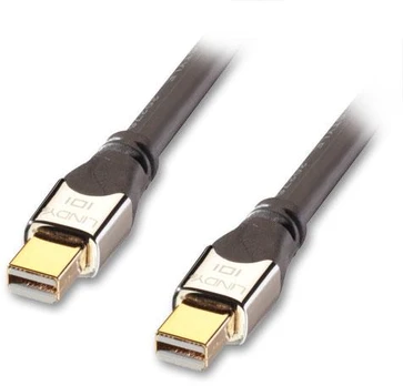 Lindy DisplayPort Mini – „DisplayPort Mini“ laidas, 2 m sidabrinis (41542)