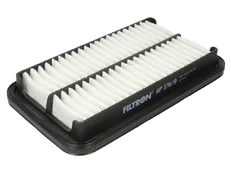 Oro filtras FILTRON AP176/9
