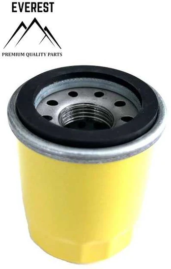 Briggs & Stratton ALYVOS FILTRAS BRIGGS&amp;STRATTON 795990
