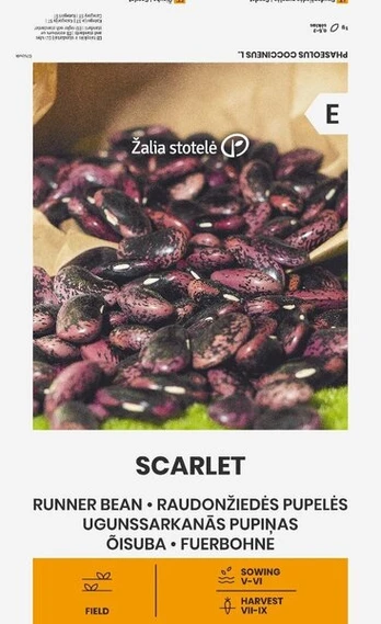 Raudonžiedės pupelės Scarlet