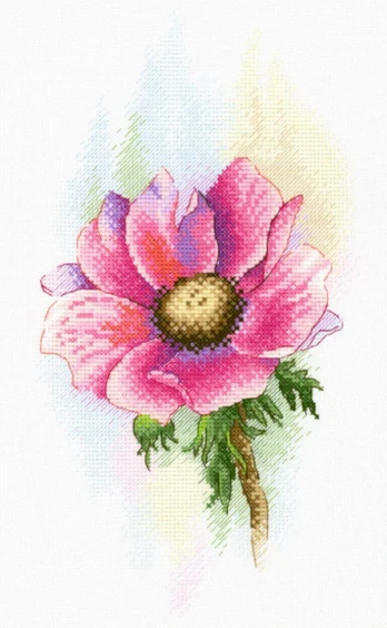 Pink Anemone SA-047