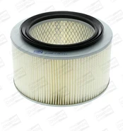 Oro filtras CHAMPION CAF100254R kaina