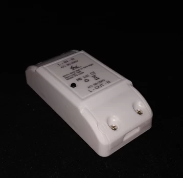 Jungiklis interneto 10A AC-90-250V PS-1604 WiFi