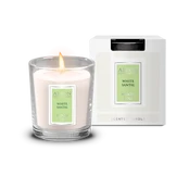 Žvakė AREON MOON LINE White Santal kaina