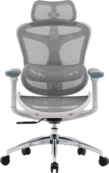 Biuro kėdė Sihoo DORO C300L Mesh Baltas
