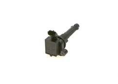 Ritė, uždegimas BOSCH 0221504020