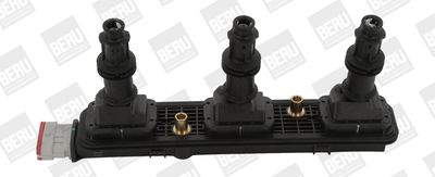 Ritė, uždegimas BorgWarner (BERU) ZSE153